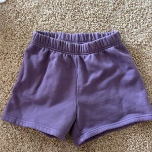 Aritzia Purple Relaxed Fit Shorts